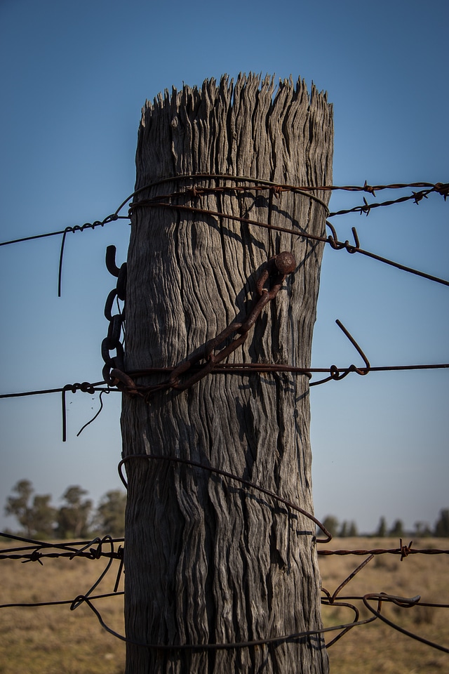 Barbed wire country side wooden post