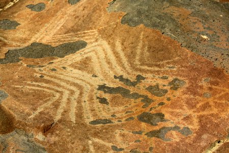 Caio_Vilela_Museu arqueologico_Florianopolis_SC
