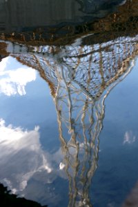Reality Distortion Pond