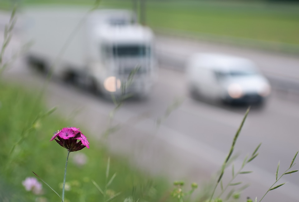Roadside environment autos