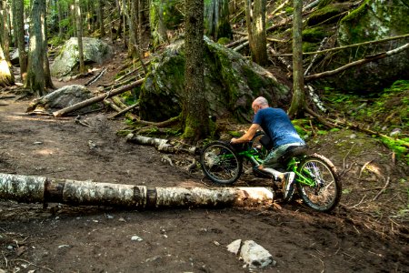 Avalanche Lake Hike with Off-road Wheelchair 03 photo