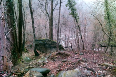 And the river behind the forest