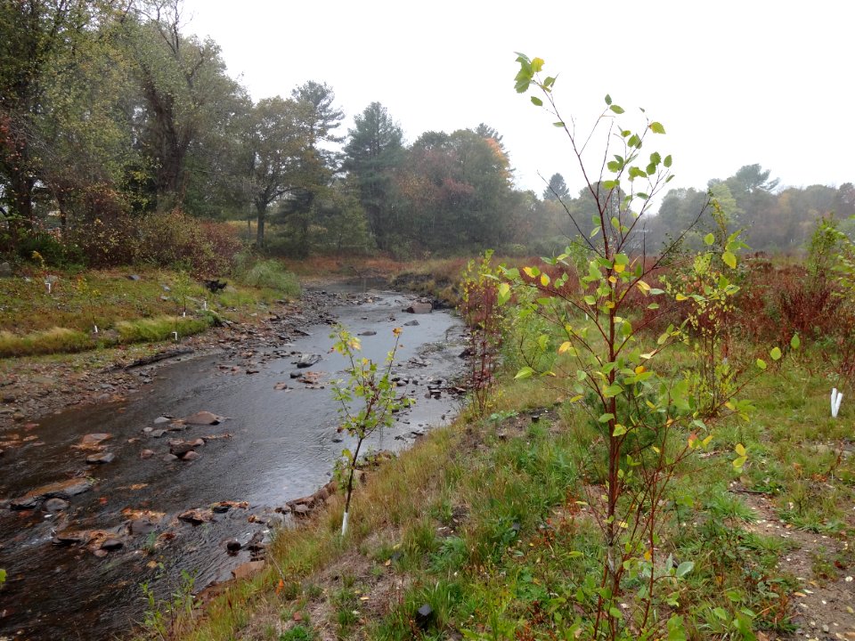 The Mill River near Whittenton Dam