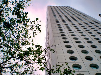 (2008-05-01)赤柱-05