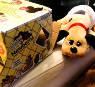 Blythe unboxes Newborn Pound Puppy