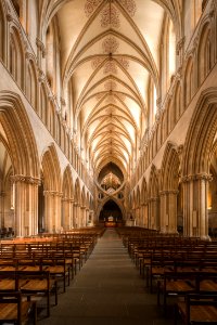 Wells Cathedral Nave photo