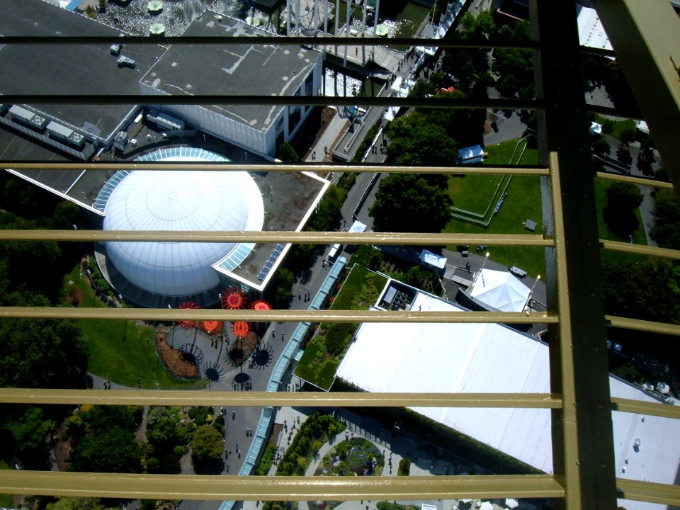 Below the Space Needle