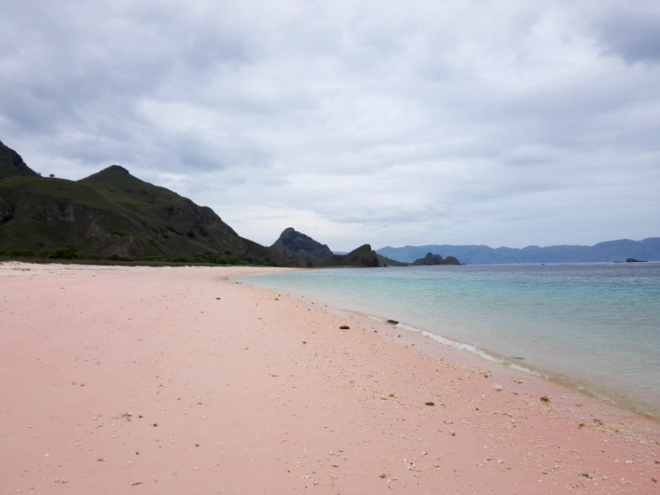 Pinker Strand