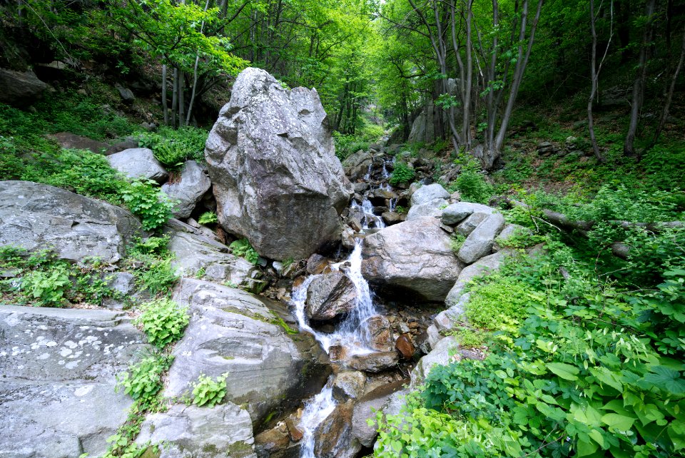 Val Chiusella, stream. Best viewed large.