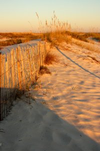 Sand Dunes at Sunset