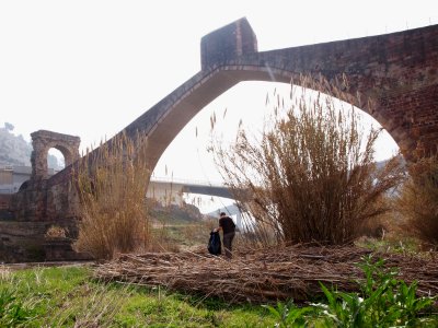 MARTORELL PROJECTE RIUS 1