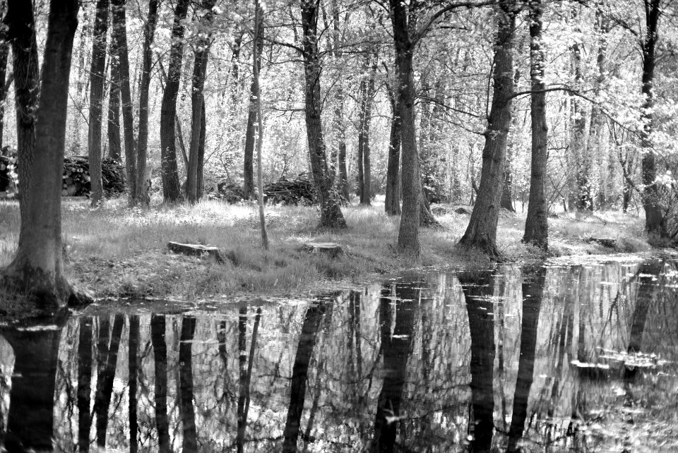 Wet zone. best viewed large.