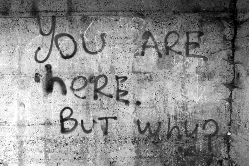 You are here but why