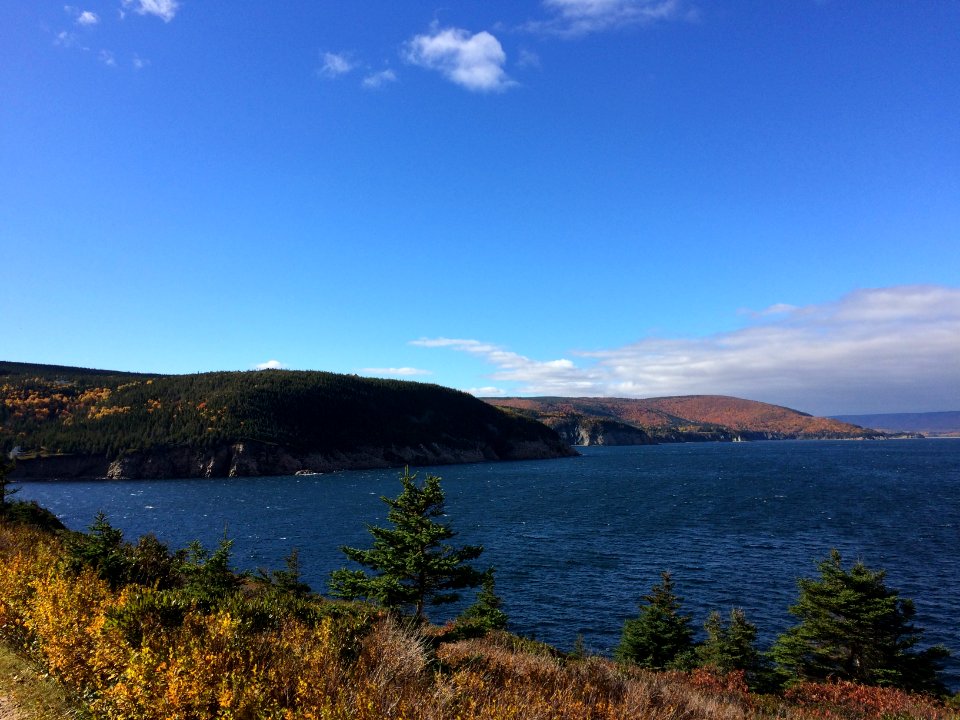 Cape Breton Island White Cliff