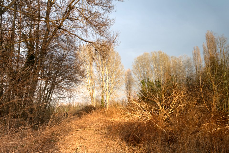 Racconigi LIPU Oasis