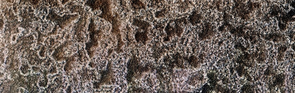 Mars - Northern Utopia Planitia