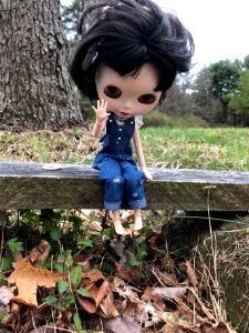 Walking along the Riding Trails