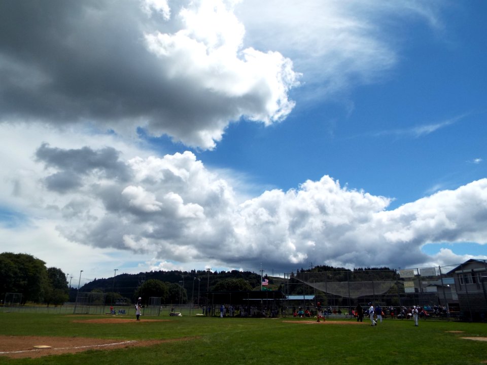 DSCF4638