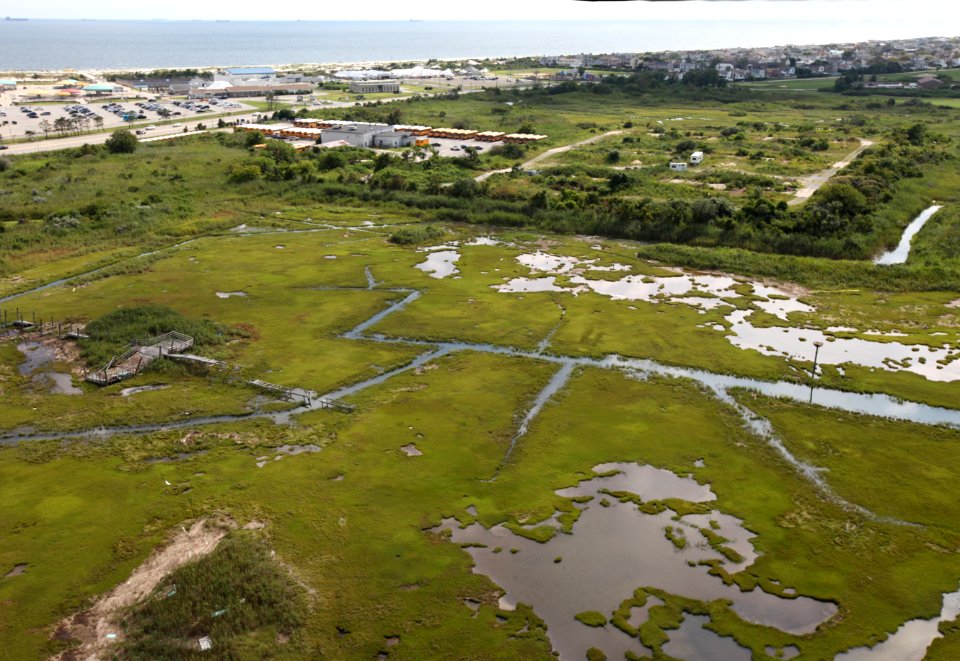 Above the Lido Beach Wildlife Management Area (NY)