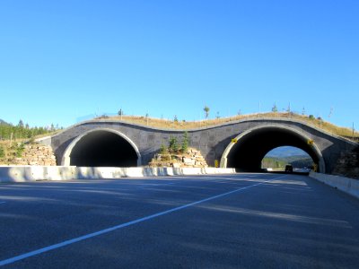 Banff Wildlife Overpass