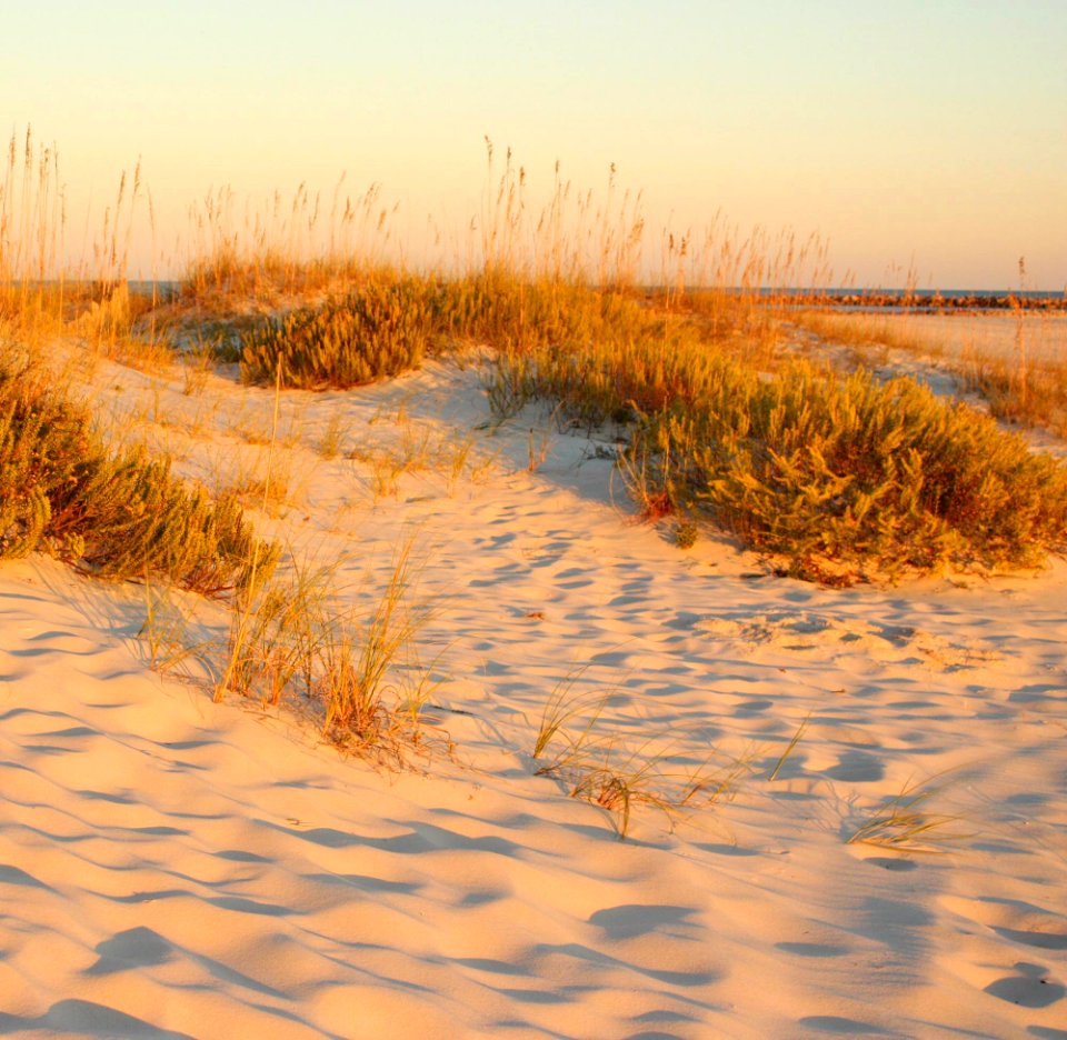 Sand Dunes at Sunset