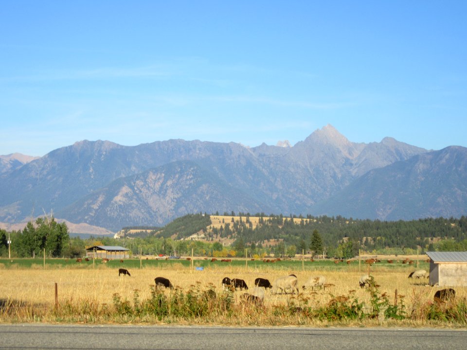 Canadian Rockies Vista