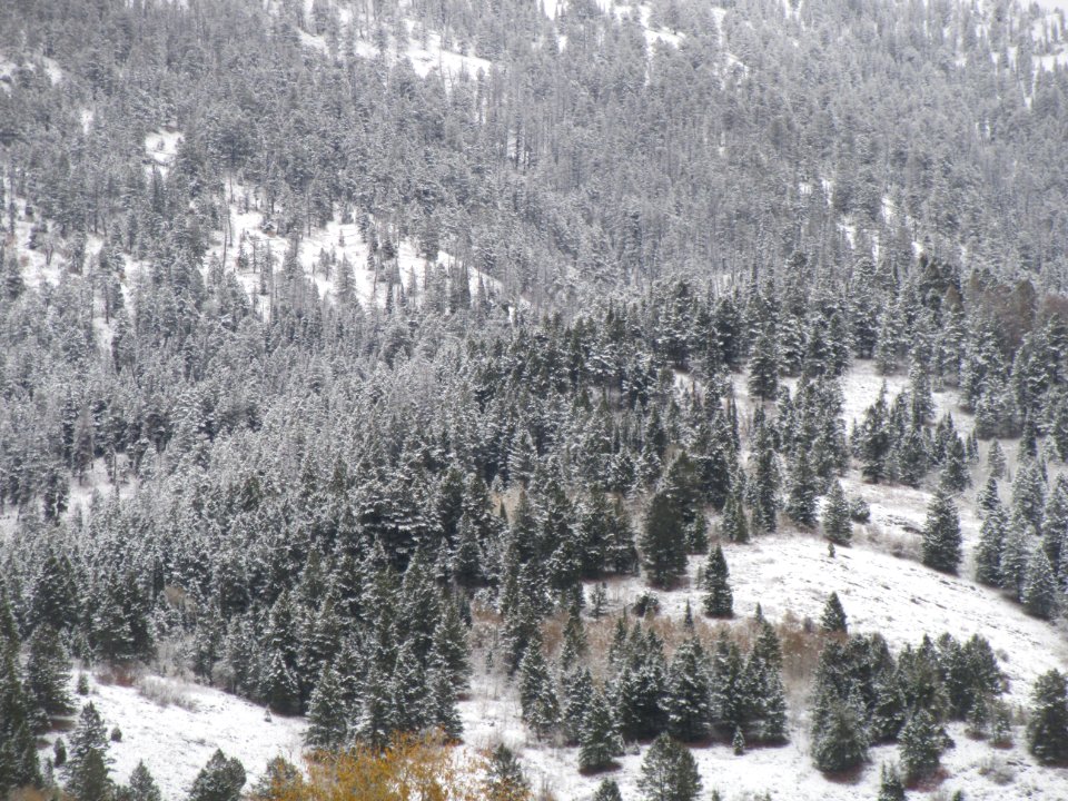 Snowy Canyon, Wyoming October