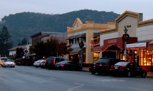 Sonoma at Christmas