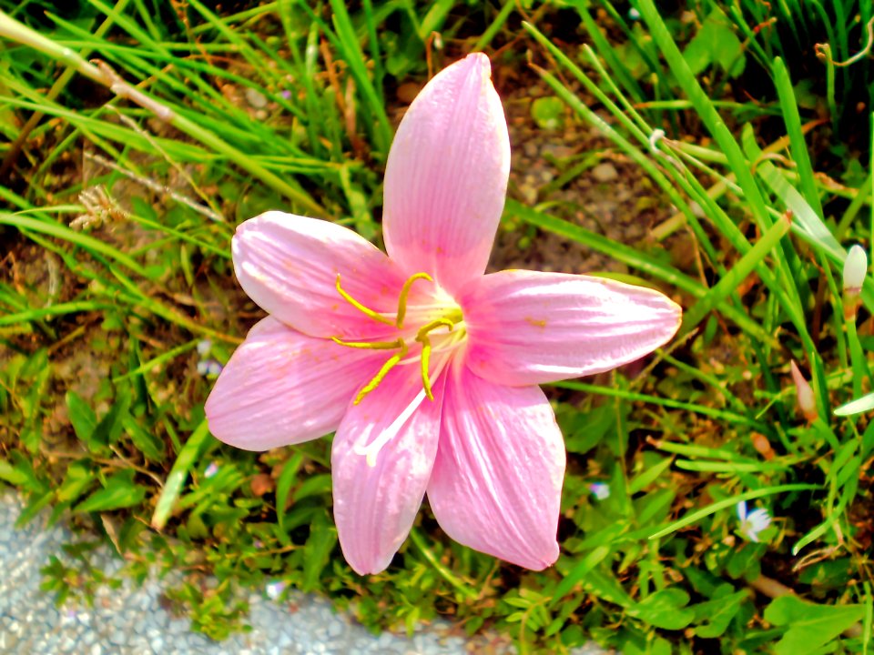 (2009-09-30)濕地公園-08