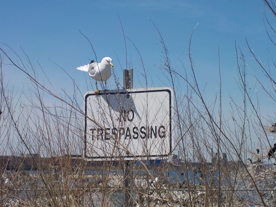 Bird restricted no access