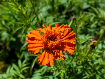 WP_20190817_11_25_18_Raw__highres
