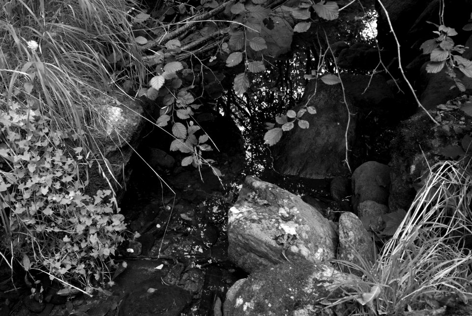 Oasis. Best viewed large