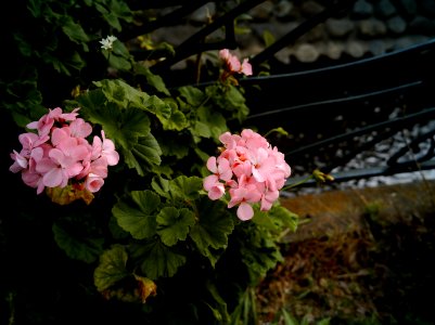 Mizonokuchi, 24th Apr
