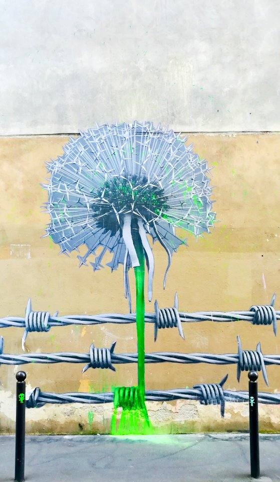 Quand la nature rencontre la ville//When nature meets the city.