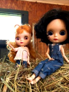 Climbing the Hay Bales
