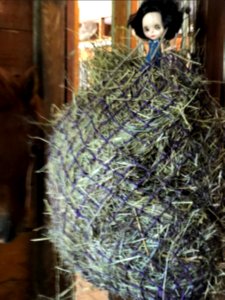 Slow Feeder - Hay Net photo