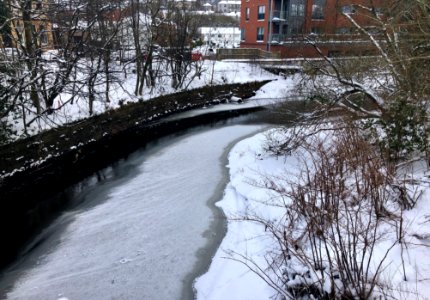 Snow Scene