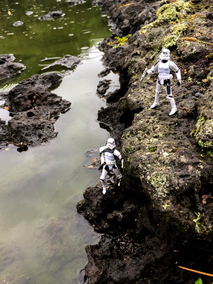 Day 86: Patrolling the lake shore