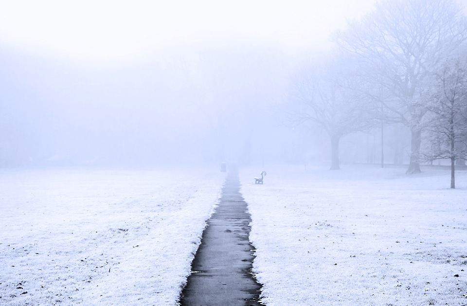 Park sidewalk grass