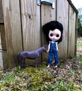 Walking along the Riding Trails