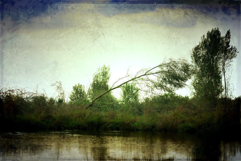 In the park.