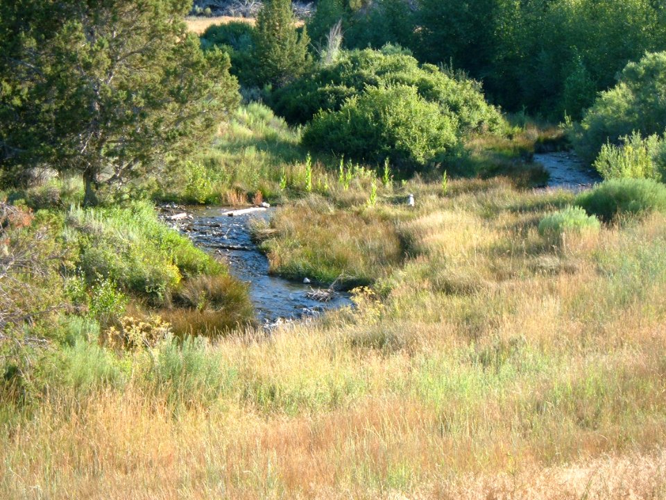 Clover Creek