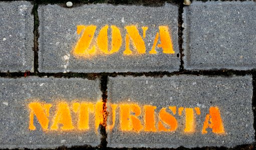 31416615388_d522d50b4a Vera playa naturist zone sign on floor_o