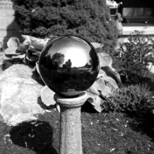 Shanghai GP3 Test - Gazing Ball photo