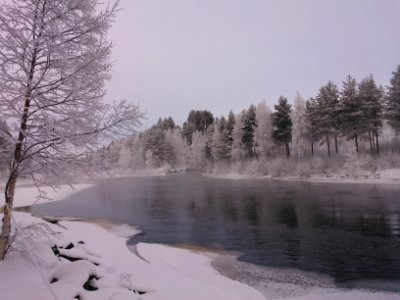 Lieksa River