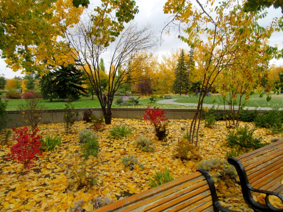 Prince's Island Park in Autumn