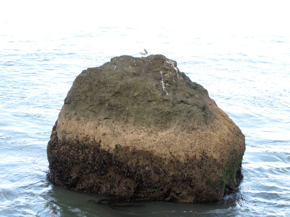 Fort Point Rock