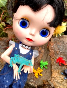 Is a blue frog safe?