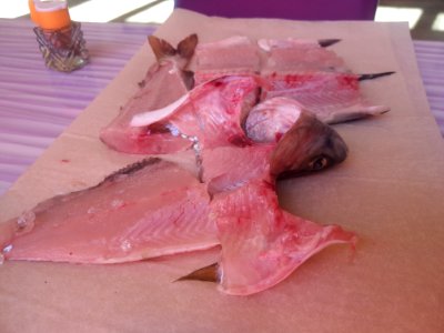 Sushi (ohne Reis, Algen oder Besteck)