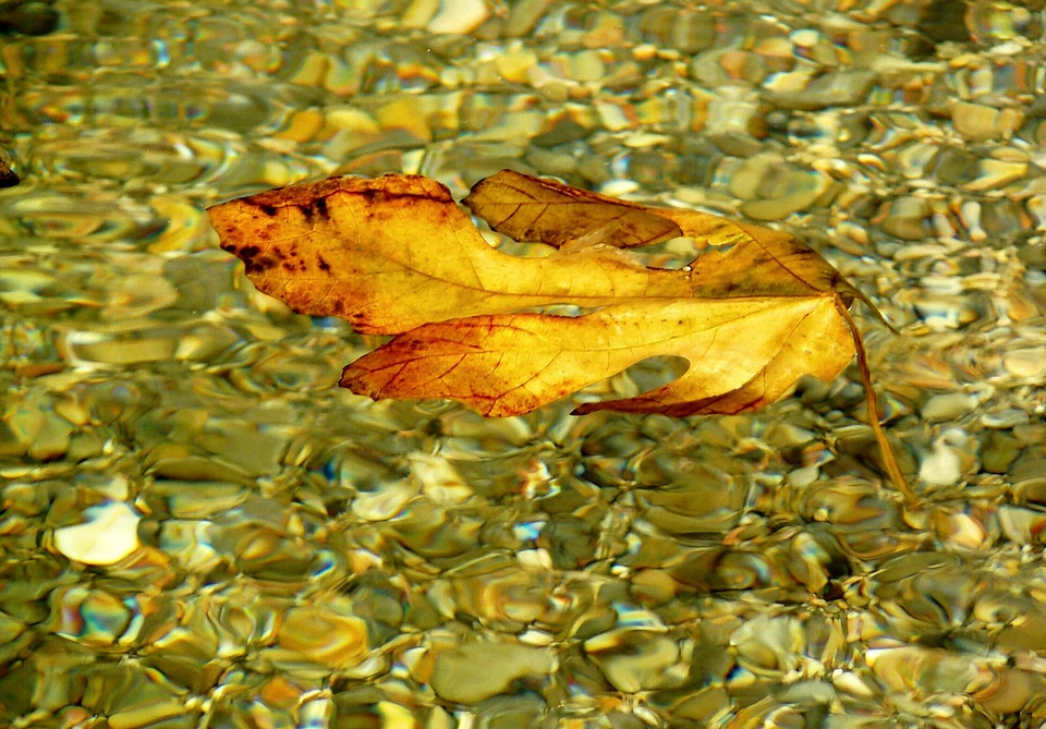 Colorful water color